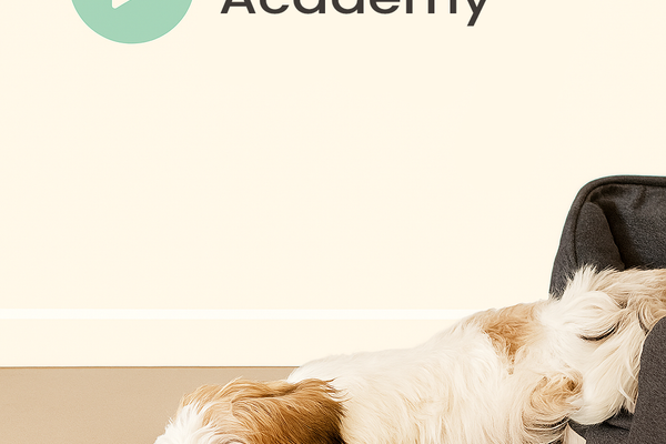 Academy